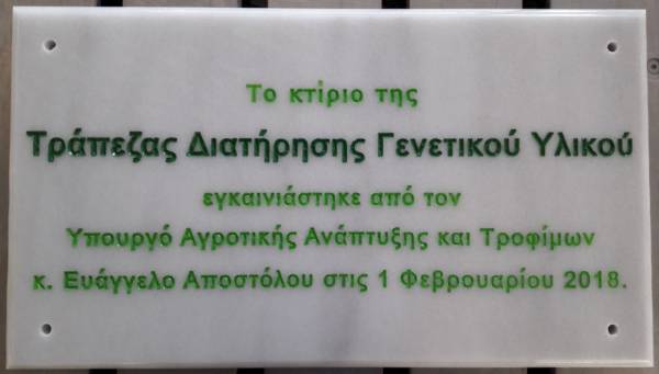 Μαρμάρινες σκαλιστές επιγραφές